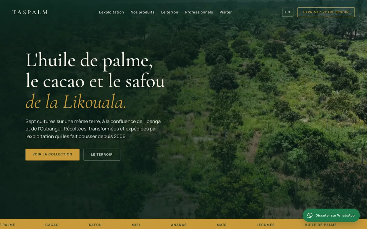 Page d’accueil du site Taspalm